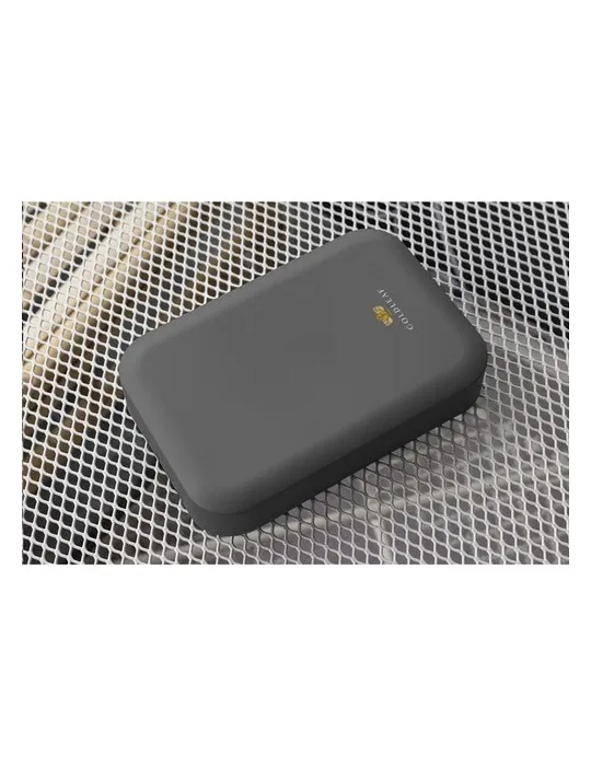 Amuse Recycled PP Lunch Box