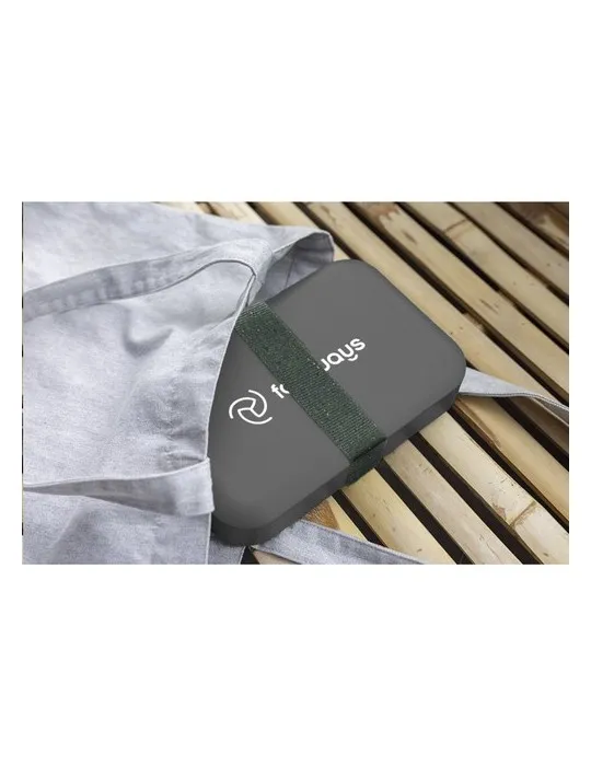 Amuse Recycled PP Lunch Box