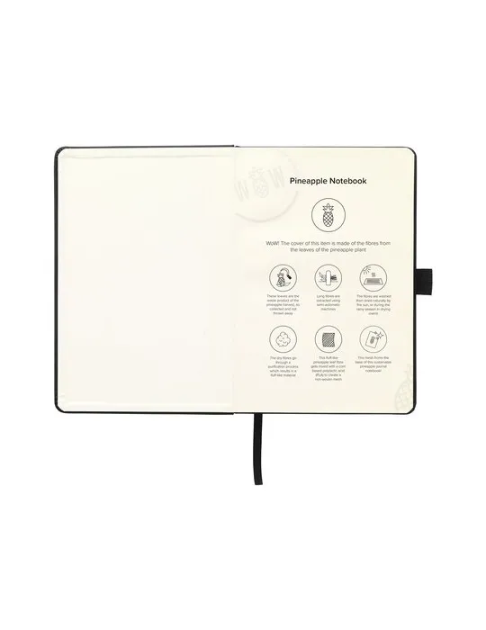 Pineapple Notebook A5  bloc-notes cadeau collaborateur premium