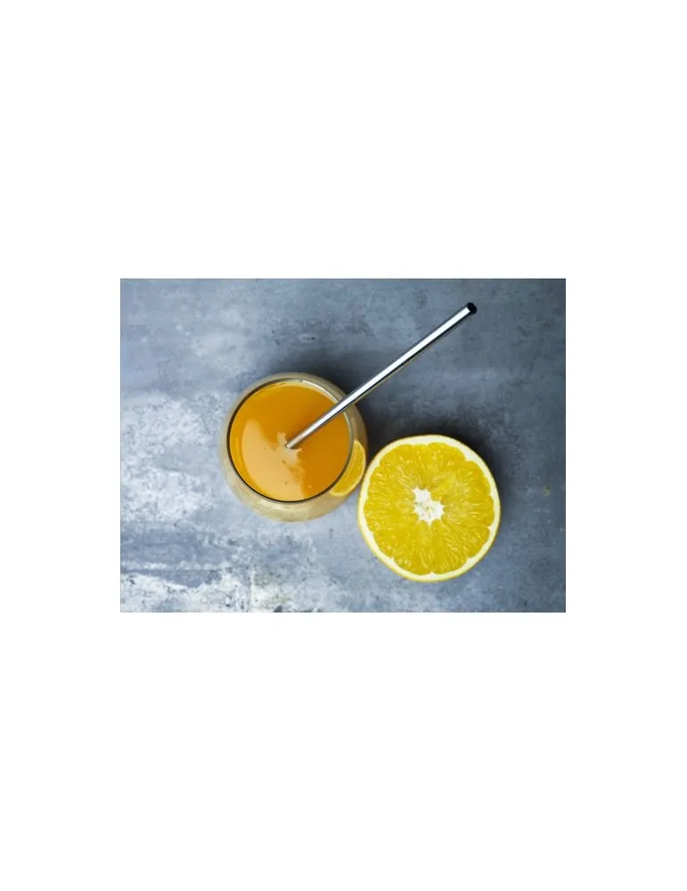 Reusable 1 piece ECO Straw Set paille acier inoxydable