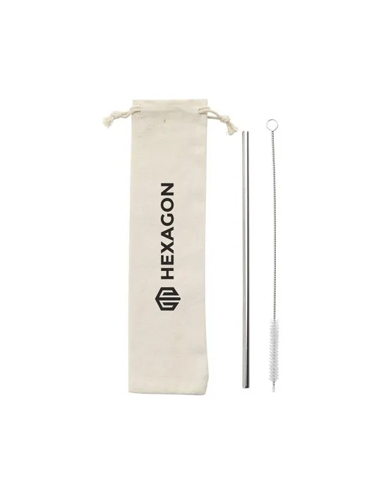Reusable 1 piece ECO Straw Set paille acier inoxydable