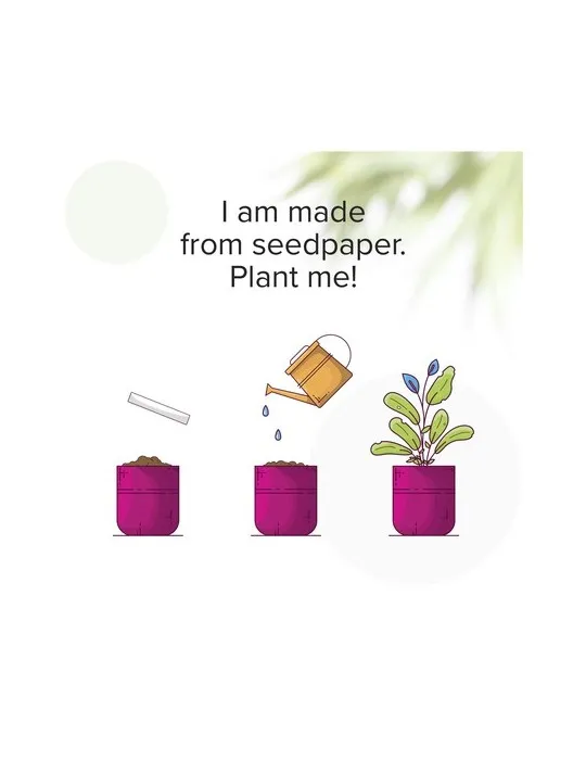 Seed Paper Festival Wristband sangle