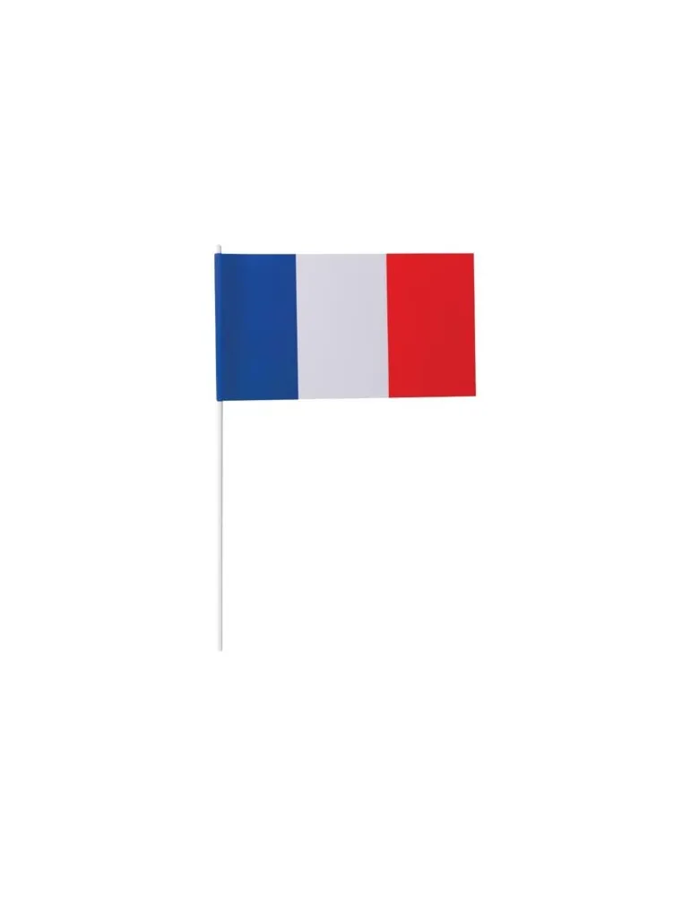Petit drapeau France