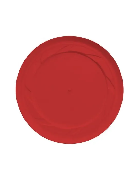 Recycled Plastic Frisbee Cool Model