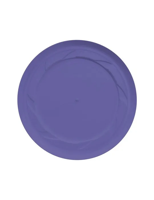 Recycled Plastic Frisbee Cool Model