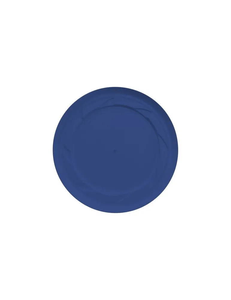 Recycled Plastic Frisbee Cool Model