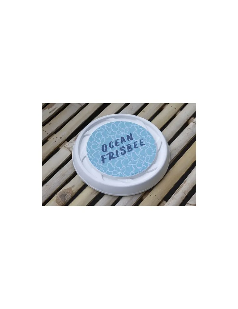 Recycled Plastic Frisbee Cool Model