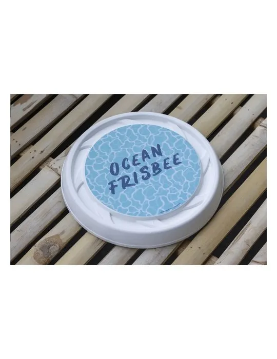 Recycled Plastic Frisbee Cool Model