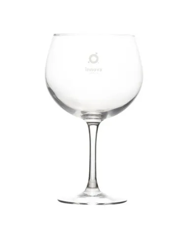 Verre à Cocktail Gin 700 ml 2