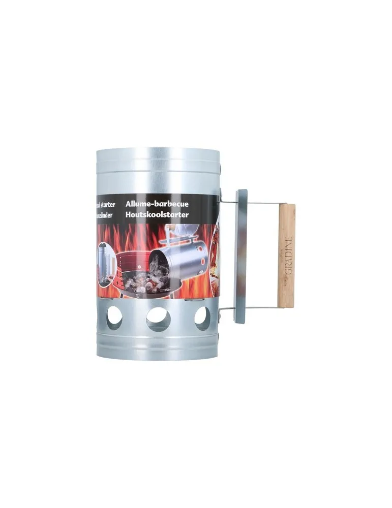 Cheminee Allume-Barbecue impression haute définition