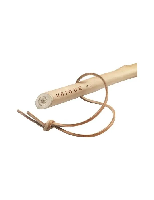 CleanWalk Walkingstick bâton de marche