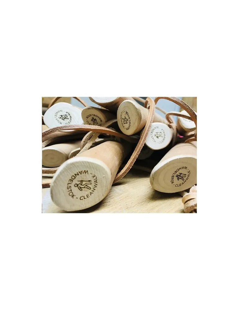 CleanWalk Walkingstick bâton de marche