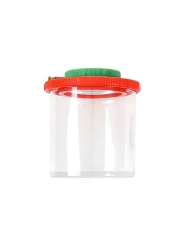 Boîte à insectes 2