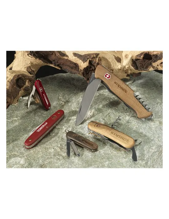Victorinox Classic SD Wood canif livraison express 24h 48h