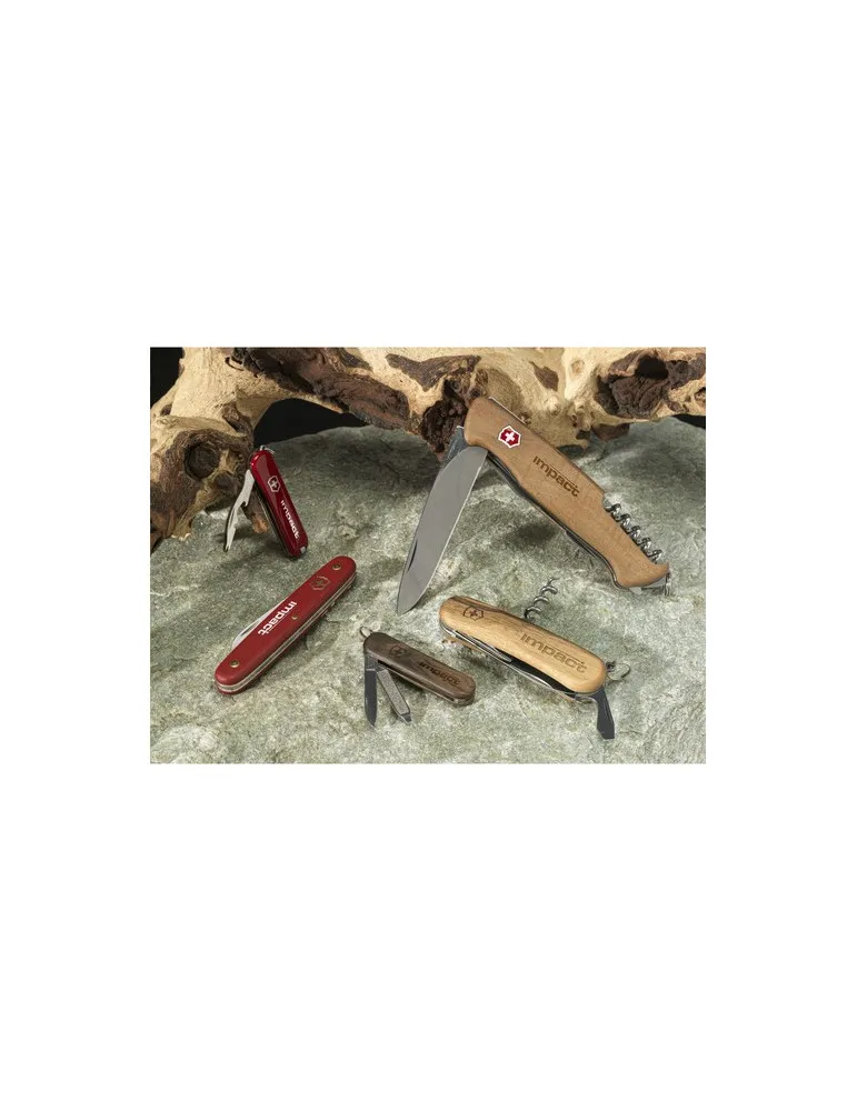 Victorinox Jetsetter outil