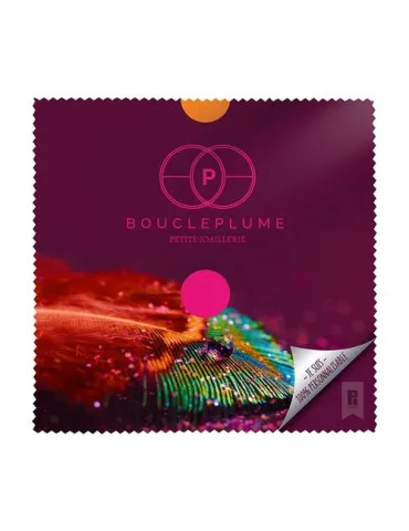 CHIFFONNETTE MICROFIBRE POUR LUNETTES 2