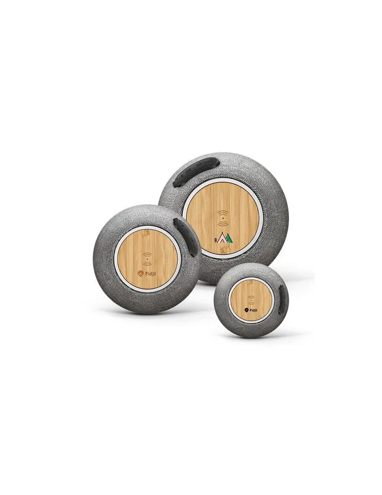 ENCEINTE 5W BT5.3_CHARGEUR A INDUCTION 15W