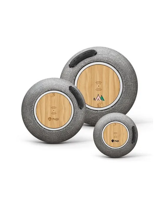 ENCEINTE 5W BT5.3_CHARGEUR A INDUCTION 15W