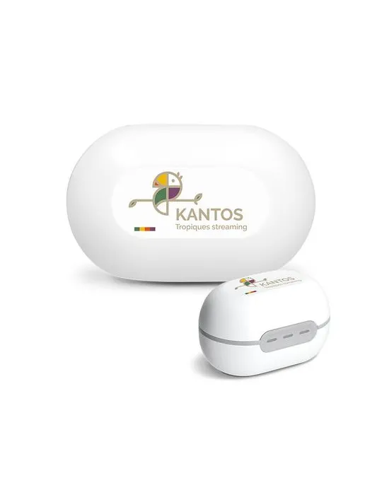 ECOUTEUR SANS FIL BT 5.3 - A CLIPSER cadeau entreprise pas cher