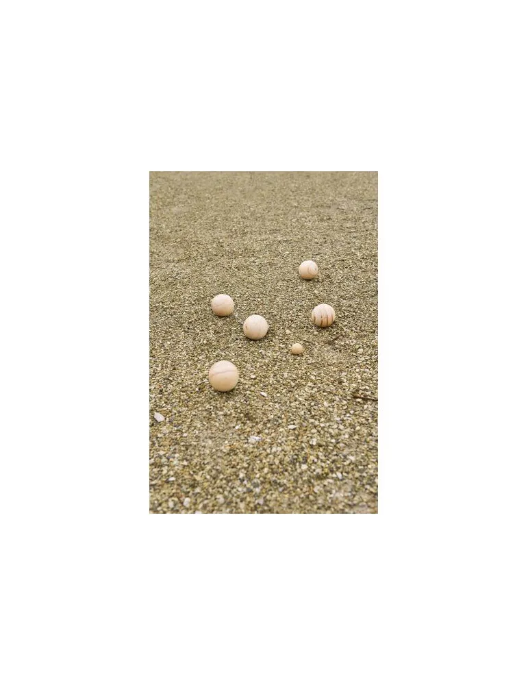 Ensemble de jeu de boules en bois Quillian