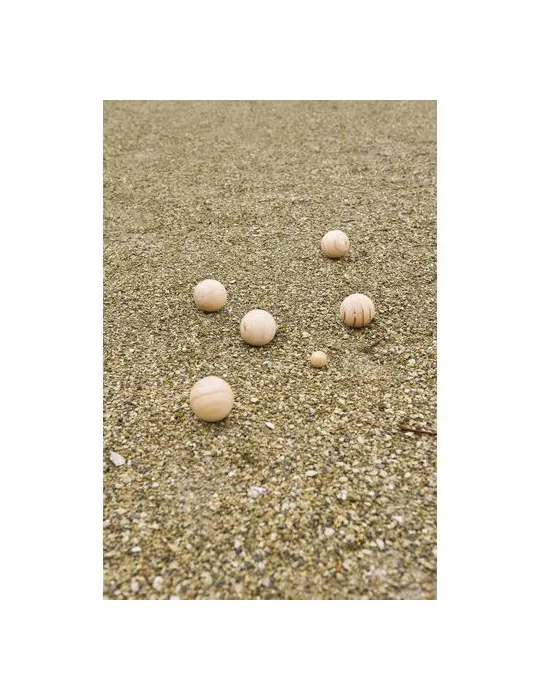 Ensemble de jeu de boules en bois Quillian