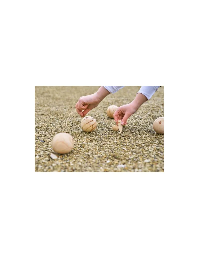 Ensemble de jeu de boules en bois Quillian