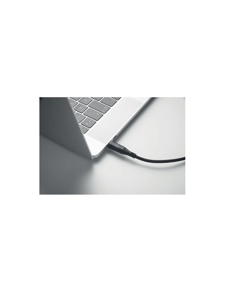 TYPSO Câble de charge 100 W type C