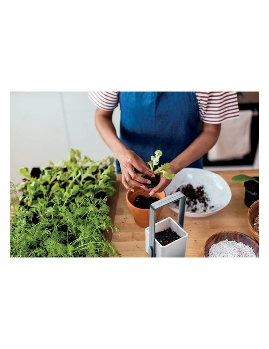 LUSHLET Jardin intérieur éclairage LED