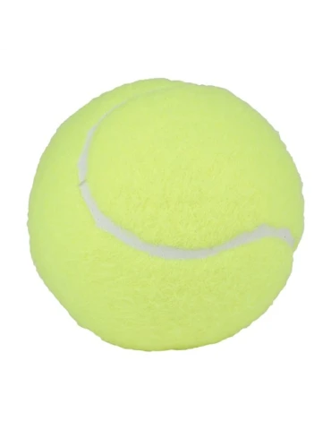 Ballons de Padel Pro 2