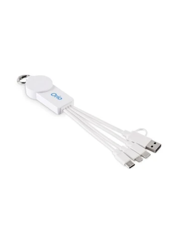 ICAB Câble de 2 en 1 de type C 2