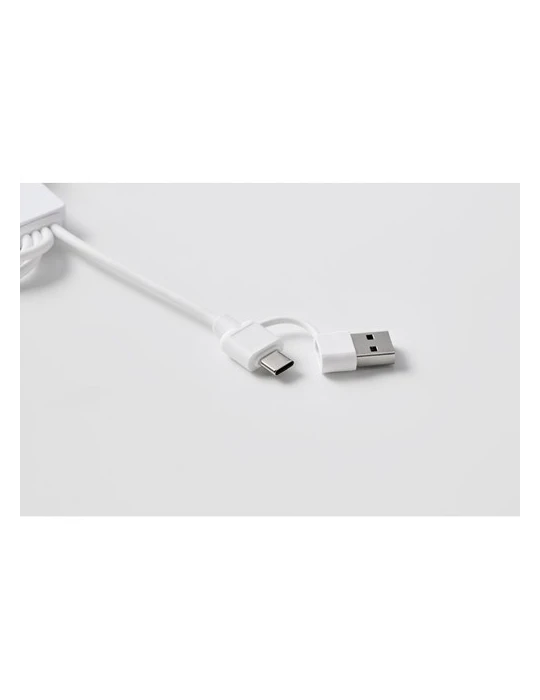 ICAB Câble de 2 en 1 de type C