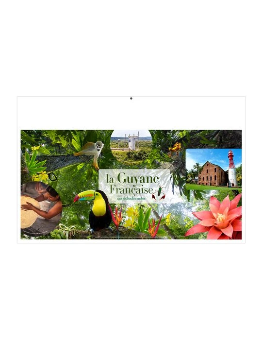 MAXIMILIEN 2026 - MAXI 650 x 405 mm - LEGER 400G - DOS FRANCE REGIONS - SANS MARQUAGE - 1 TROU EN TETE