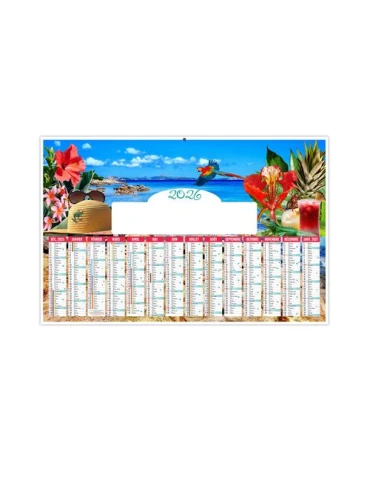 TROPICAL 2026 - MAXI 650 x 405 mm - LEGER 400G - DOS CUISINE - SANS MARQUAGE - 1 TROU EN TETE 2