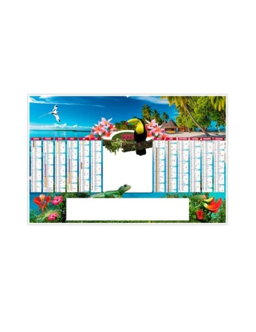 TROPIC 2026 - MAXI 650 x 405 mm - LEGER 400G - DOS BLANC - SANS MARQUAGE - 1 TROU EN TETE