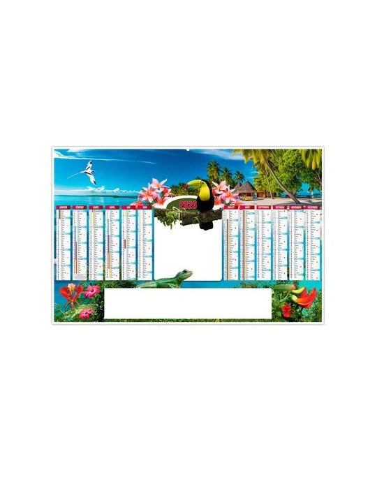 TROPIC 2026 - MAXI 650 x 405 mm - LEGER 400G - DOS BLANC - SANS MARQUAGE - 1 TROU EN TETE