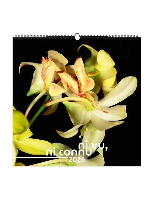 NI VU, NI CONNU 2026 - SMALL 330 x 330 mm - MARQUAGE 1 COULEUR - RELIURE BAGUETTE