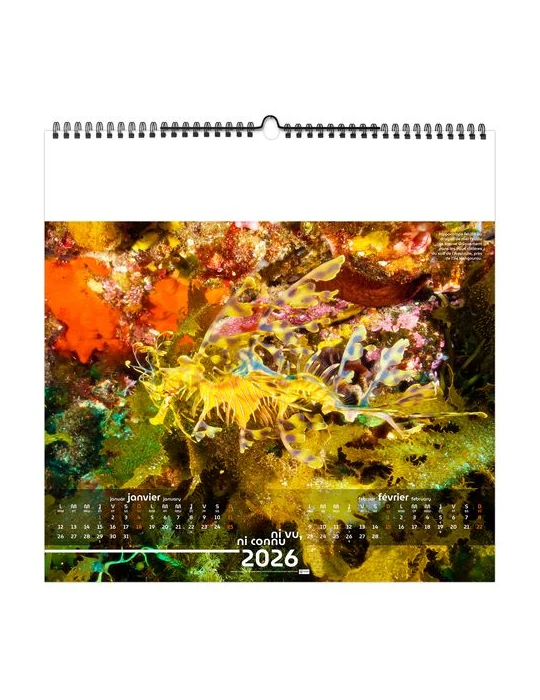 NI VU, NI CONNU 2026 - SMALL 330 x 330 mm - MARQUAGE 1 COULEUR - RELIURE BAGUETTE personnalisation rapide en France