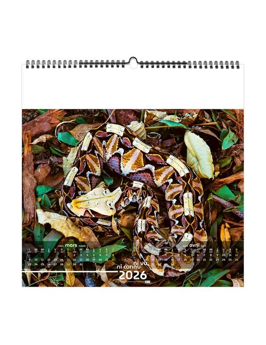 NI VU, NI CONNU 2026 - SMALL 330 x 330 mm - MARQUAGE 1 COULEUR - RELIURE BAGUETTE goodies entreprise design