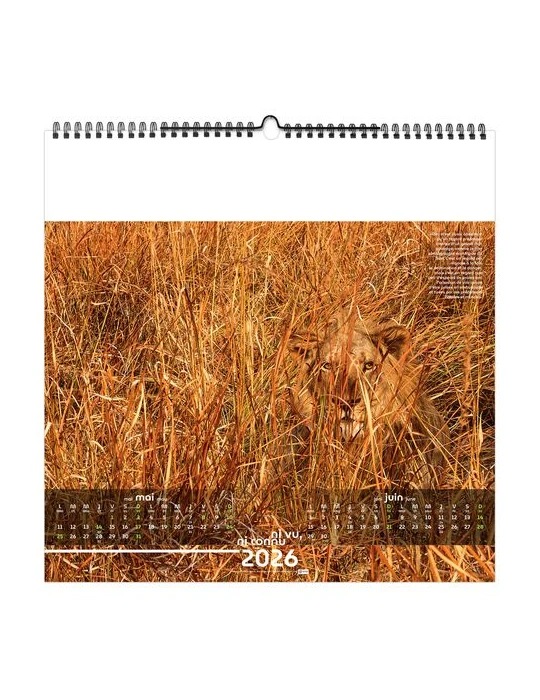 NI VU, NI CONNU 2026 - SMALL 330 x 330 mm - MARQUAGE 1 COULEUR - RELIURE BAGUETTE cadeau client original