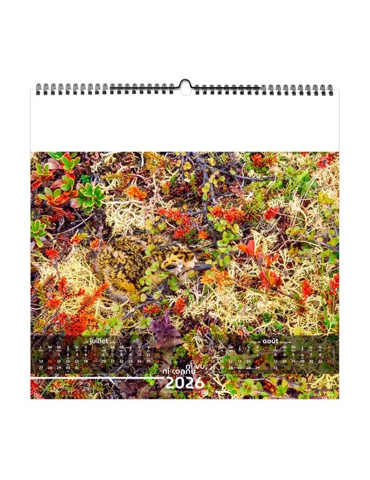 NI VU, NI CONNU 2026 - SMALL 330 x 330 mm - MARQUAGE 1 COULEUR - RELIURE BAGUETTE objet publicitaire robuste