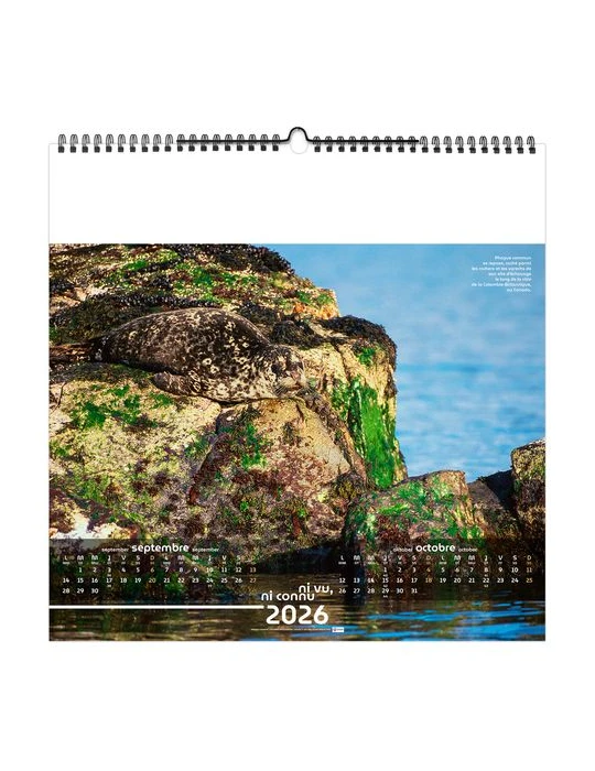 NI VU, NI CONNU 2026 - SMALL 330 x 330 mm - MARQUAGE 1 COULEUR - RELIURE BAGUETTE goodies personnalisé en stock