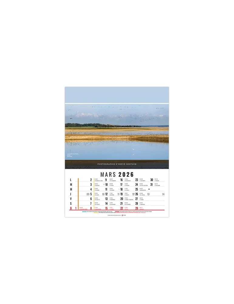 CELINE 2026 - 12 FEUILLETS - BLOC SEUL SANS MARQUAGE