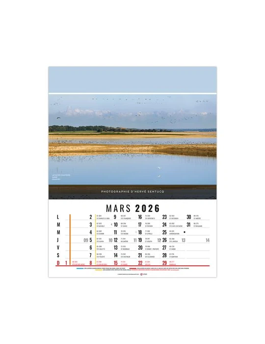 CELINE 2026 - 12 FEUILLETS - BLOC SEUL SANS MARQUAGE