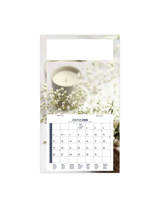 PLAQUE 1 VUE MEDITATION 2026 - DOS CARTON - BLOC B2 - SANS MARQUAGE