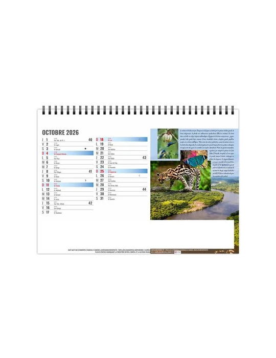 CHEVALET STANDARD 13F - EQUATEUR 2026 - QUADRI accessoire événementiel unique