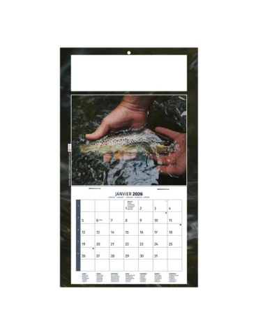 PLAQUE 1 VUE MAX 2026 - DOS CARTON - EURO BLOC - SANS MARQUAGE