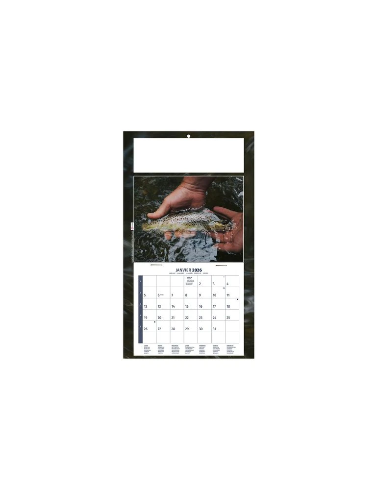 PLAQUE 1 VUE MAX 2026 - DOS CARTON - EURO BLOC - SANS MARQUAGE