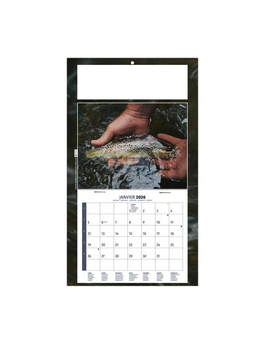 PLAQUE 1 VUE MAX 2026 - DOS CARTON - EURO BLOC - SANS MARQUAGE