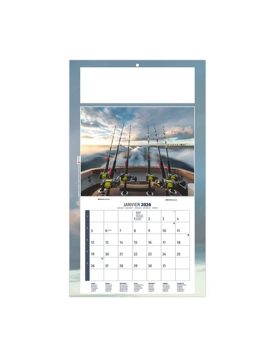 PLAQUE 1 VUE MAX 2026 - DOS CARTON - EURO BLOC - SANS MARQUAGE