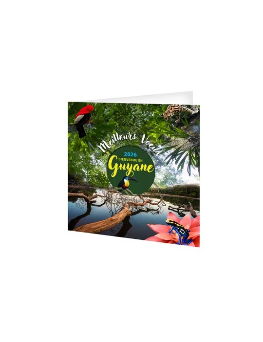 CARTE DE VOEUX - L'EMERAUDE 2026  AVEC ENVELOPPE - SANS MARQUAGE